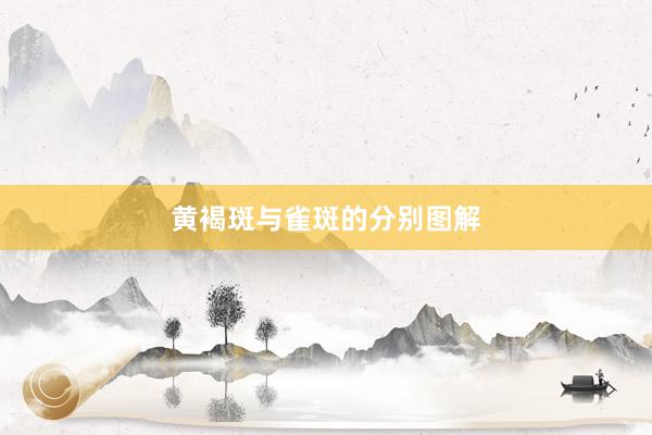 黄褐斑与雀斑的分别图解