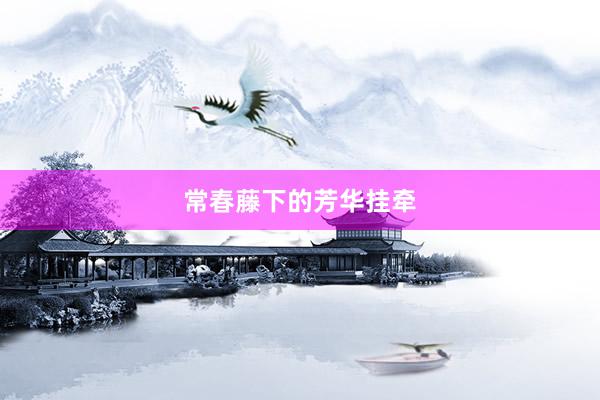 常春藤下的芳华挂牵