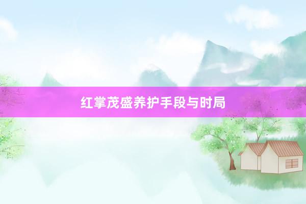 红掌茂盛养护手段与时局