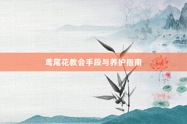 鸢尾花教会手段与养护指南
