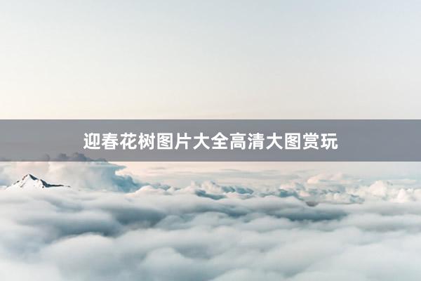 迎春花树图片大全高清大图赏玩