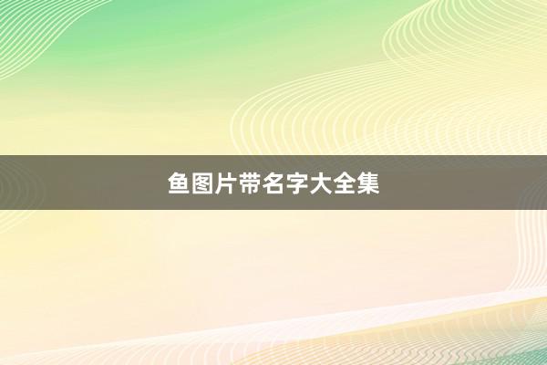 鱼图片带名字大全集