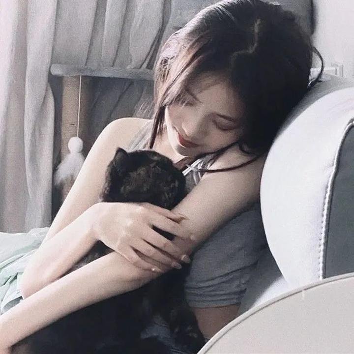 河东师情
